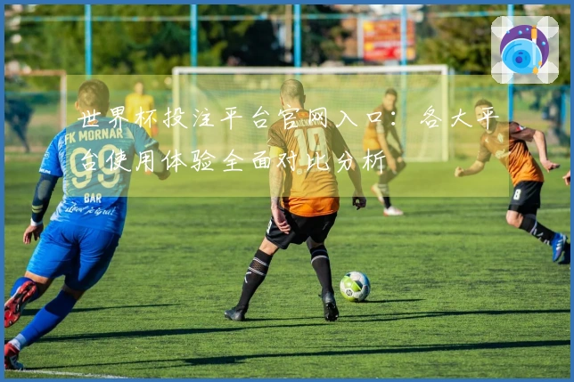 世界杯投注平台官网入口：各大平台使用体验全面对比分析