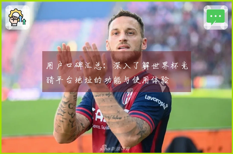 用户口碑汇总:深入了解世界杯竞猜平台地址的功能与使用体验