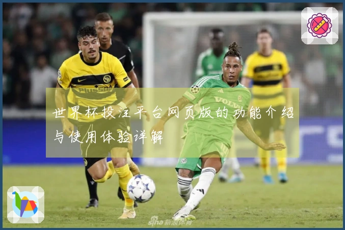 世界杯投注平台网页版的功能介绍与使用体验详解