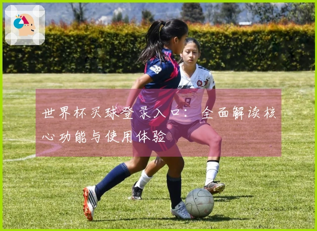 世界杯买球登录入口：全面解读核心功能与使用体验