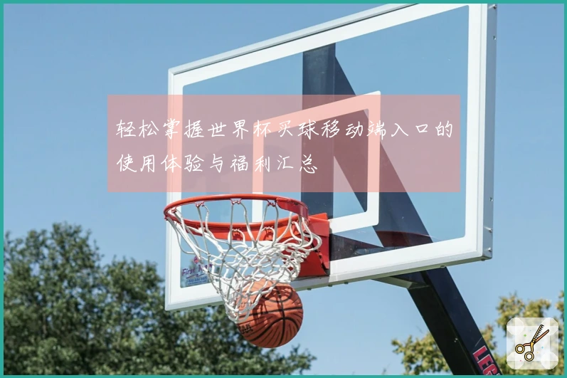 轻松掌握世界杯买球移动端入口的使用体验与福利汇总